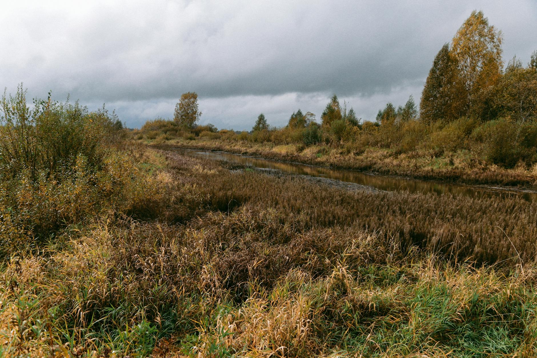 Paysage de Voljski