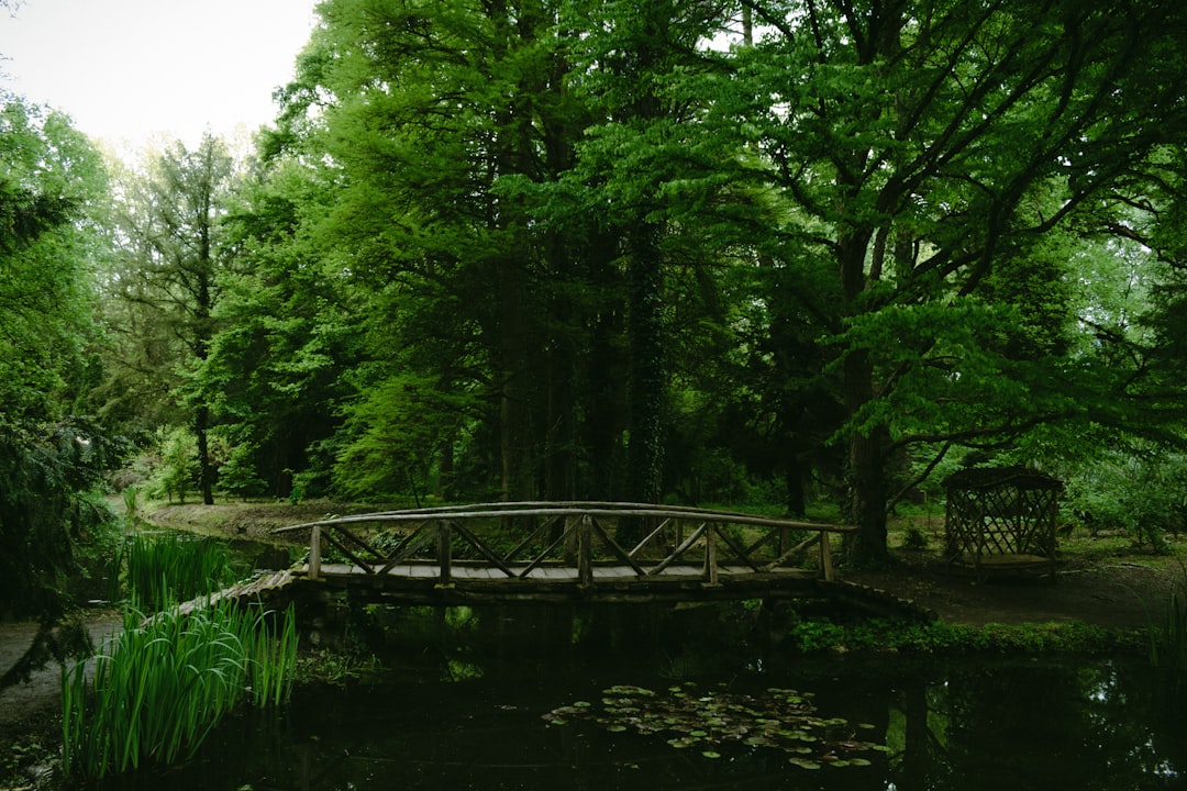 Paysage de Woodbridge