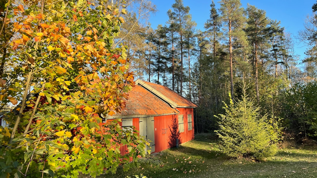 Paysage de Evijärvi
