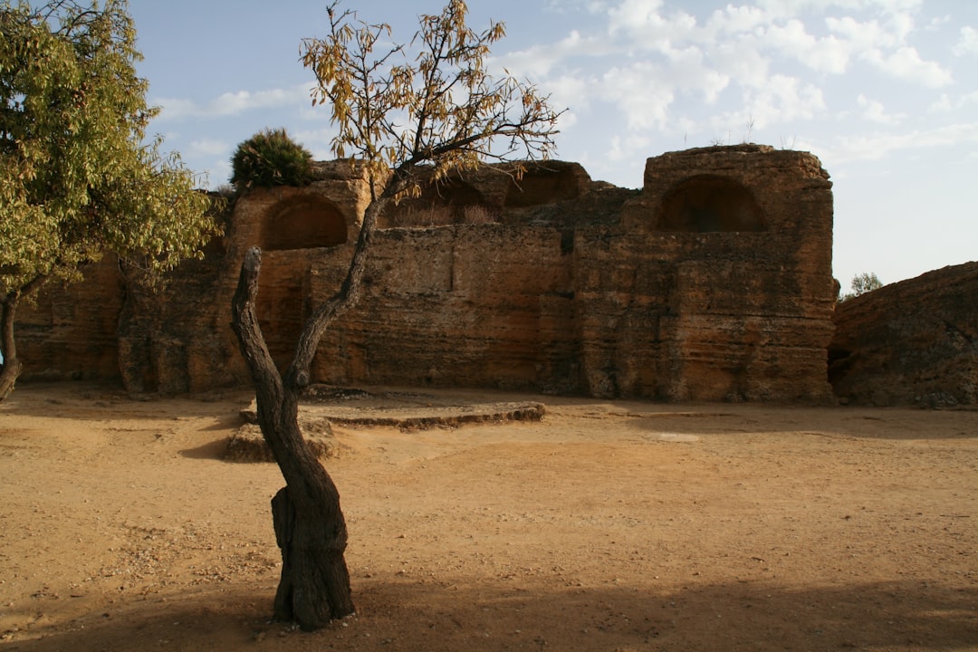 Vue de Abukir