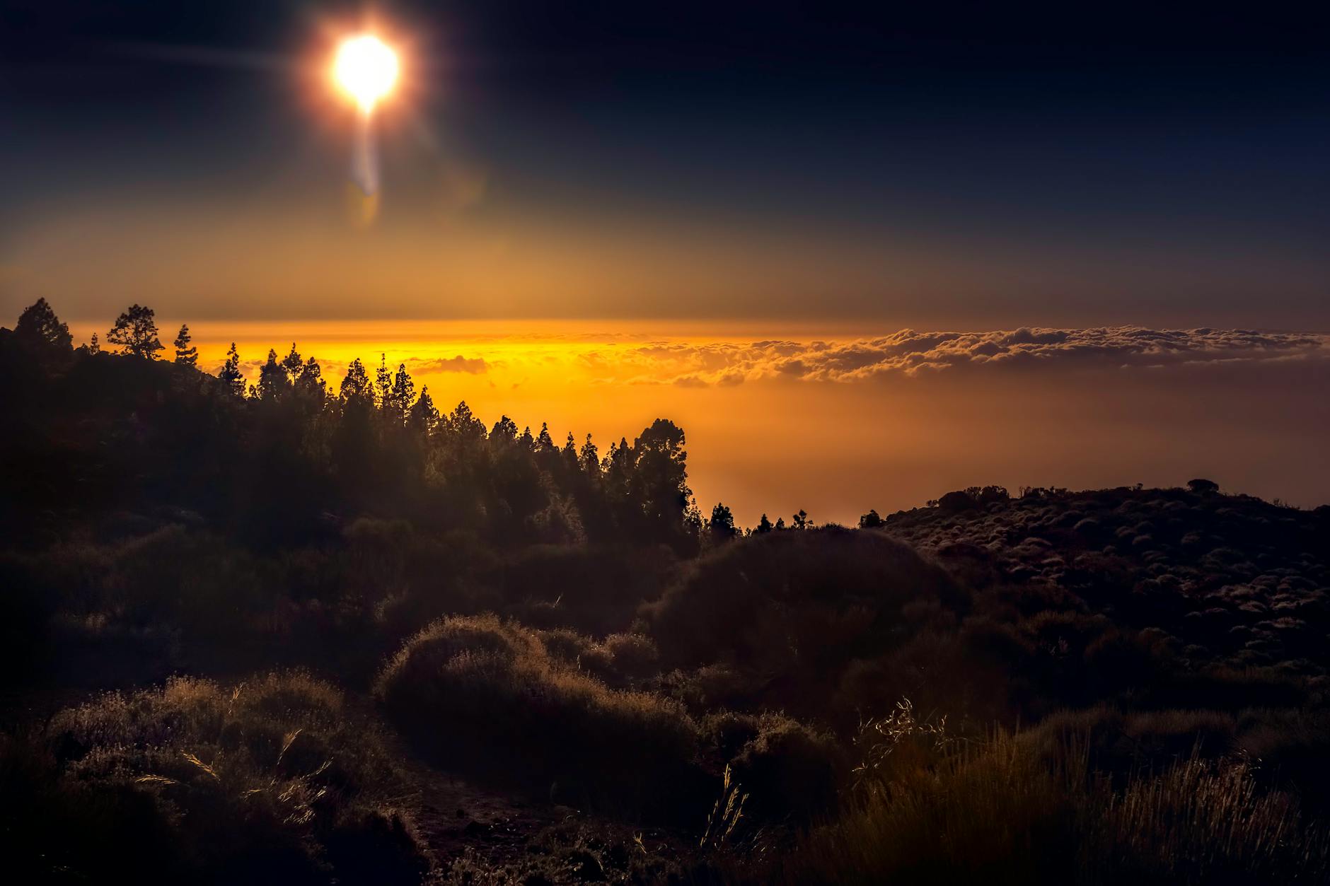 Paysage de Adeje