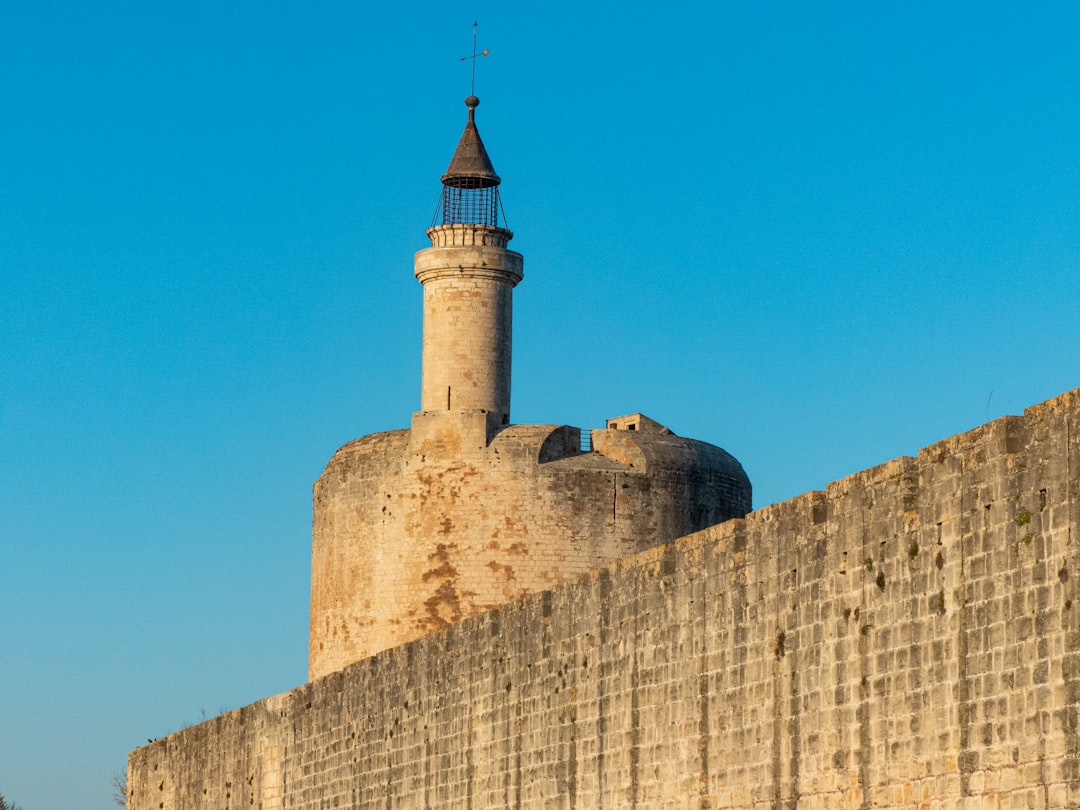 Paysage de Aigues Mortes