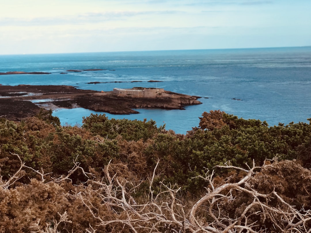 Vue de Ålands paysagisme