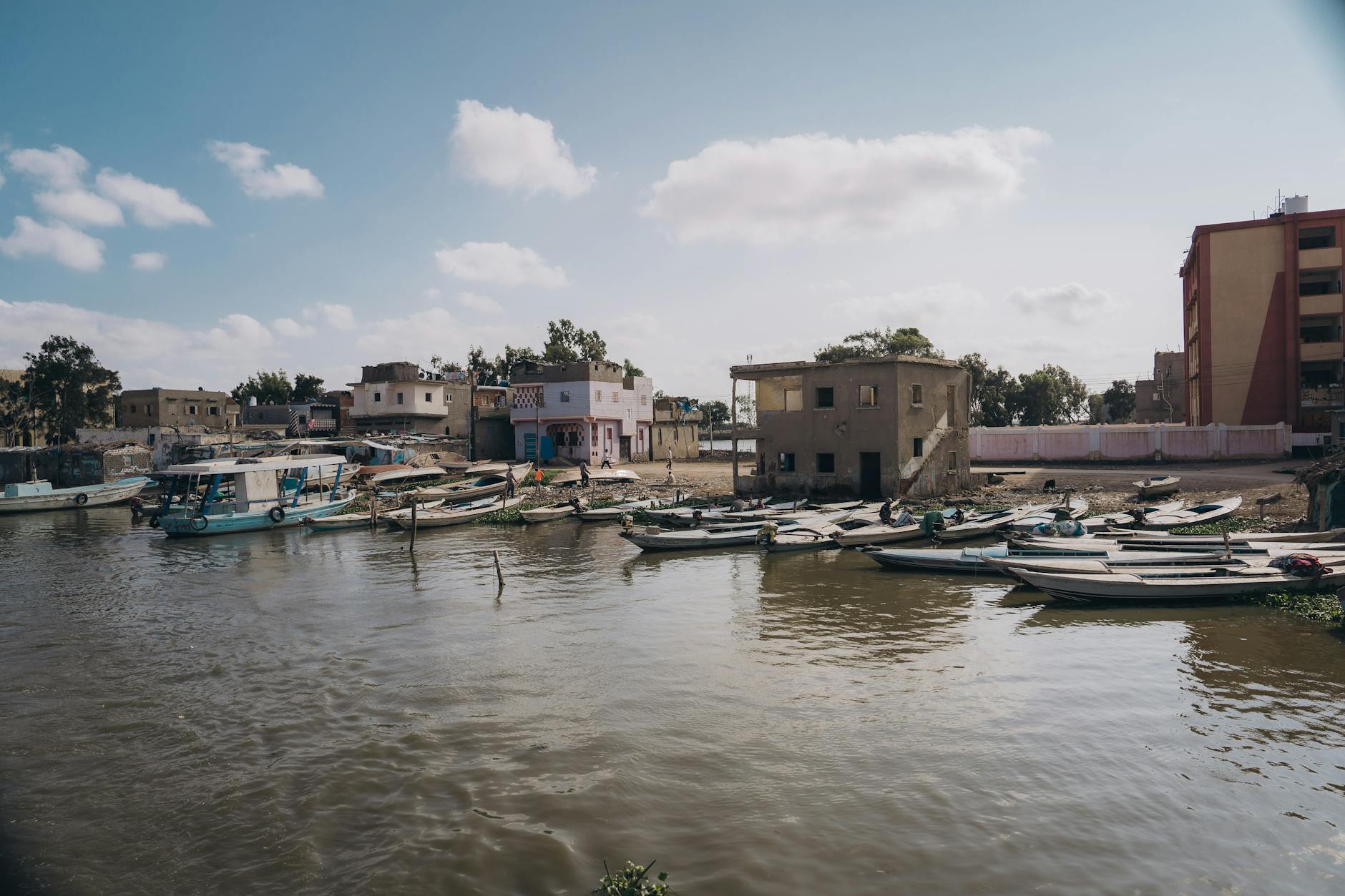 Paysage de Alexandria Montaza El-Gharbia