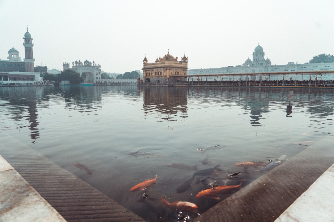 Paysage de Amritsar