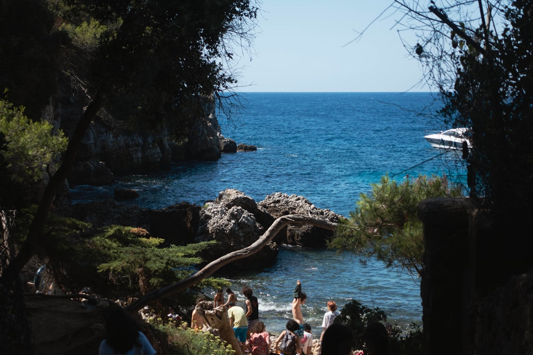 Paysage de Antibes