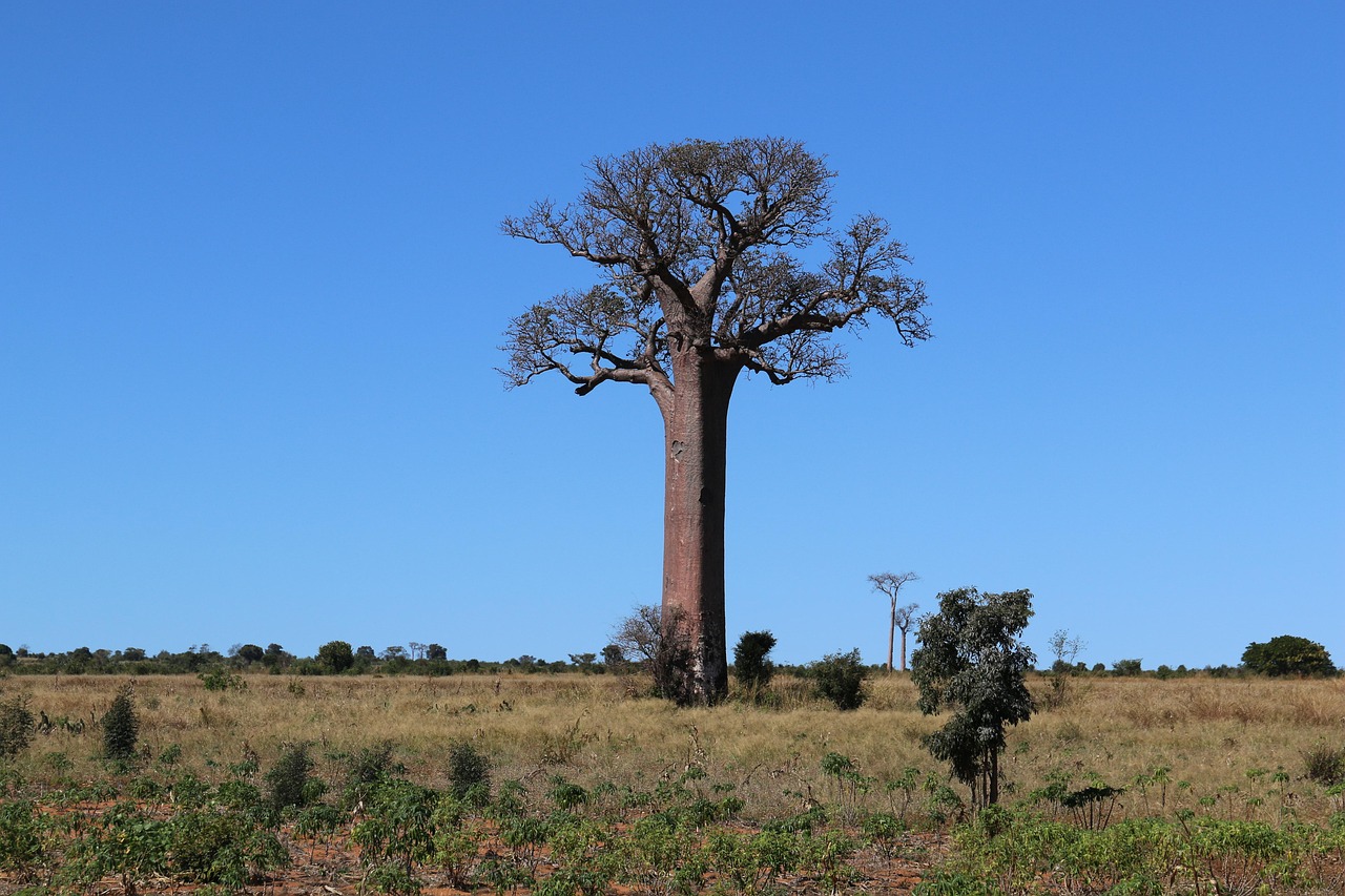 Vue de Antsirabe IV