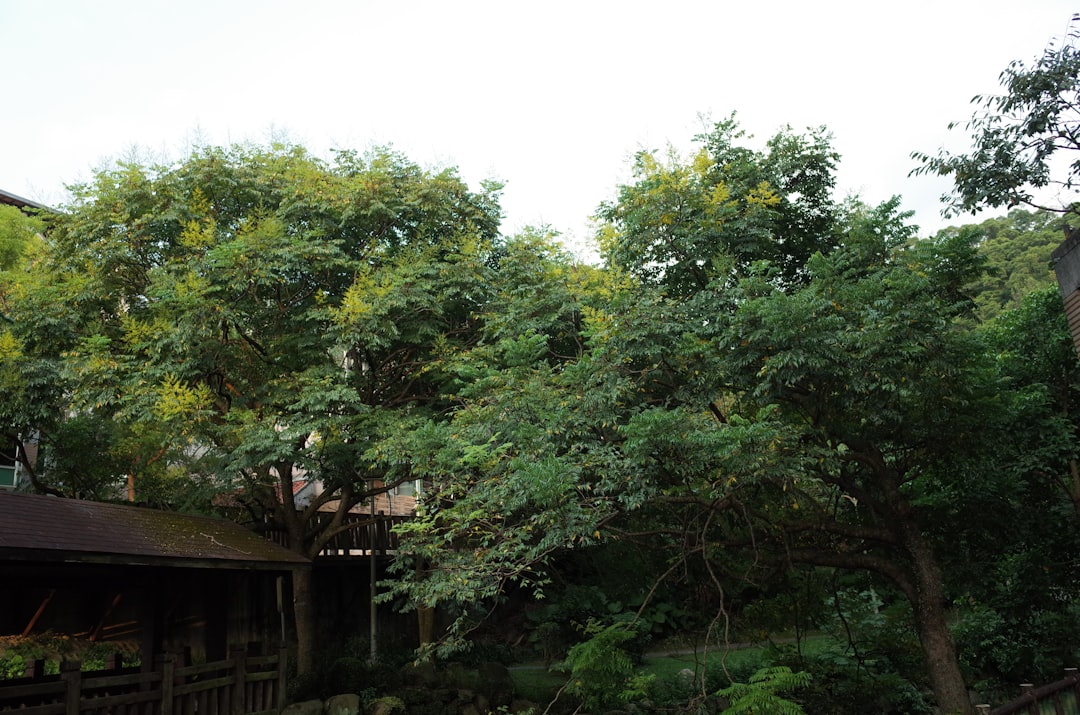 Paysage de Arguvan