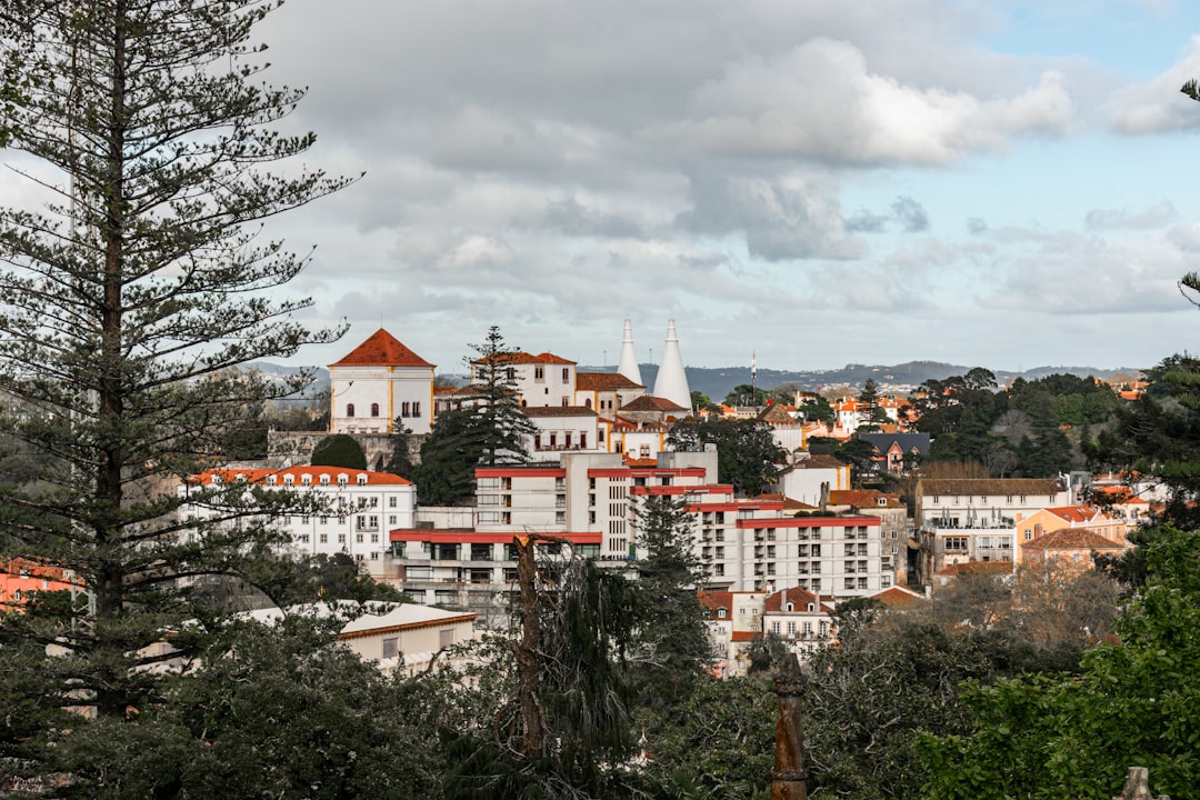 Paysage de Arraiolos