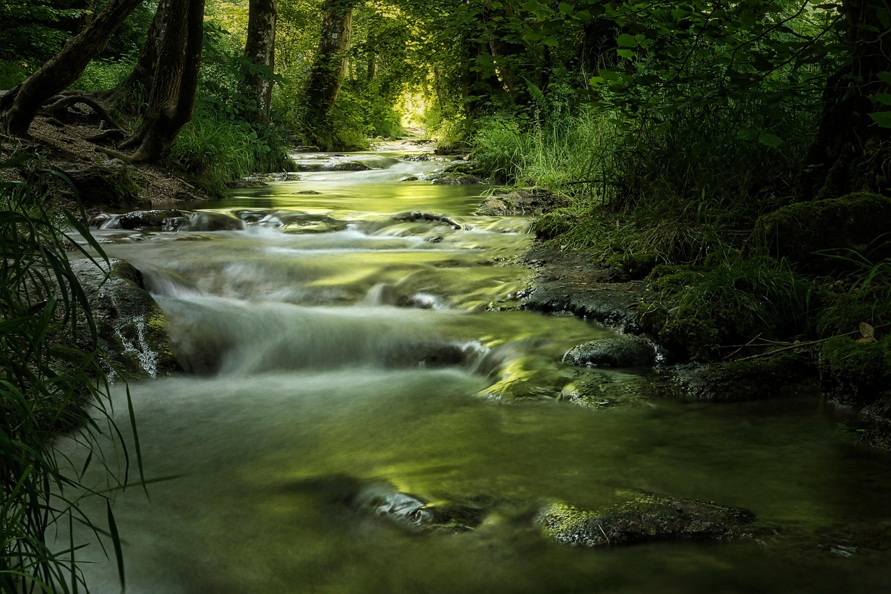 Paysage de Bad Waldsee
