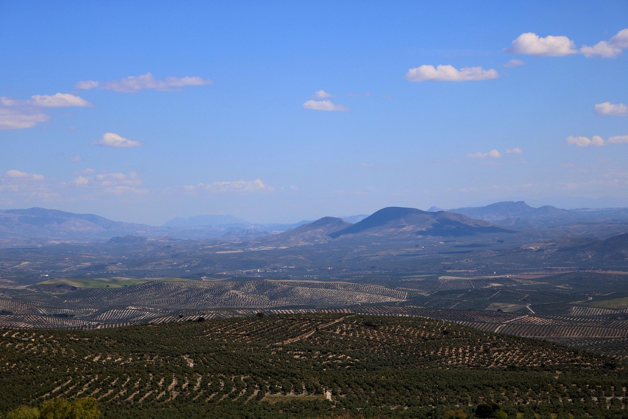 Paysage de Baeza
