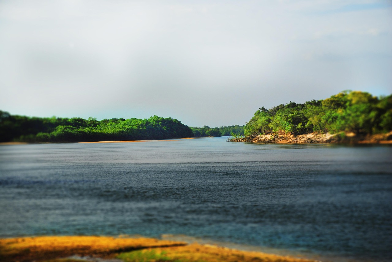 Paysage de Barinitas