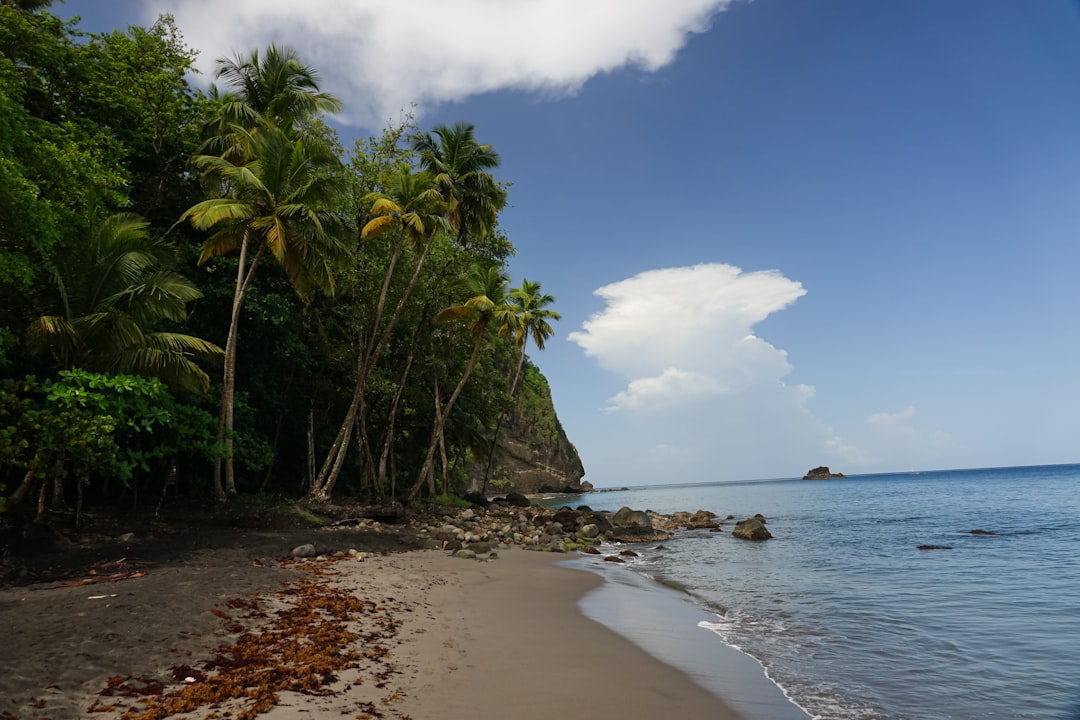 Vue de Basse-Pointe