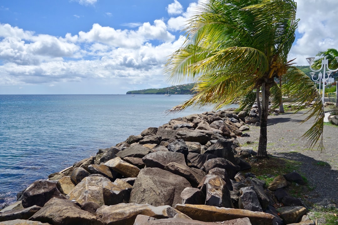 Paysage de Basse-Pointe