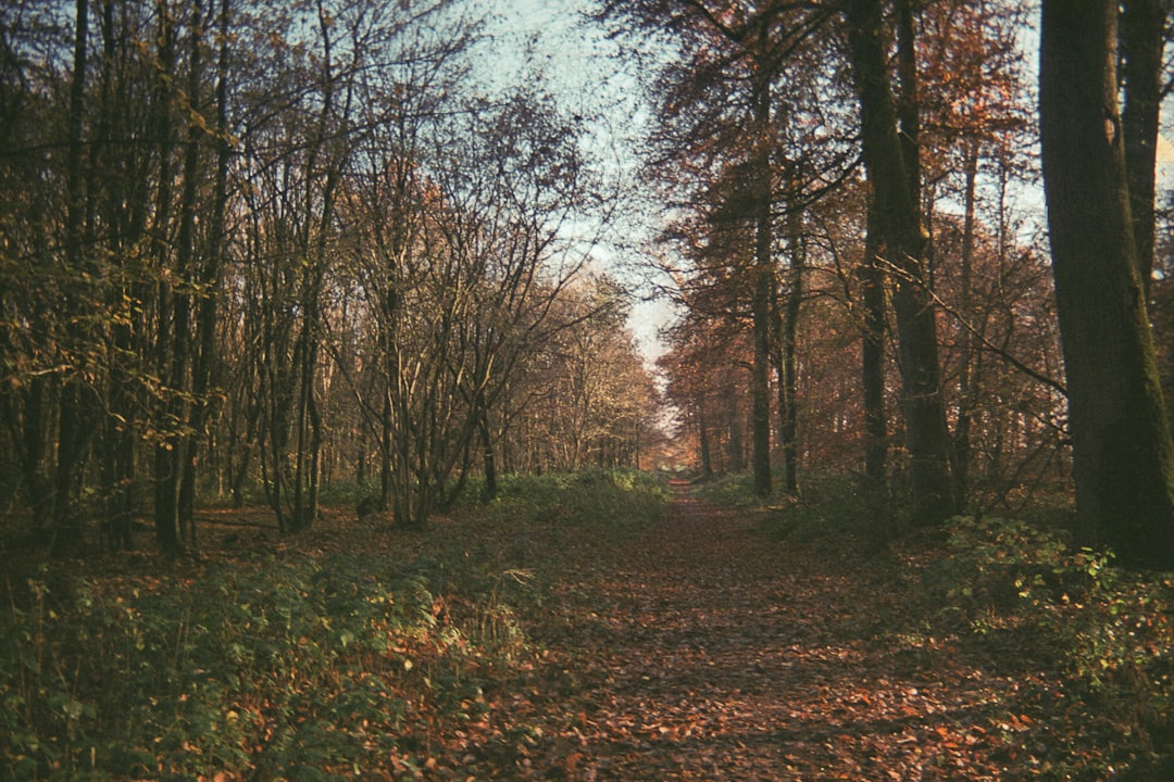 Paysage de Beauvais