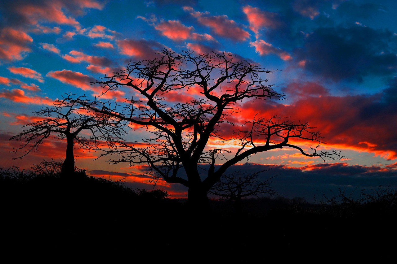 Paysage de Bela Crkva