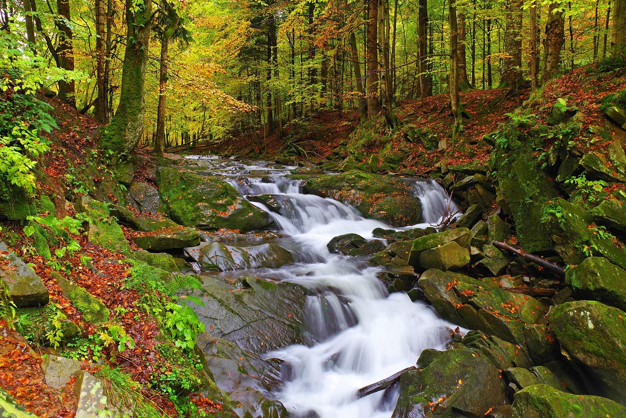 Paysage de Bieszczady