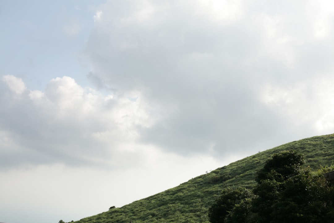 Vue de Bindki