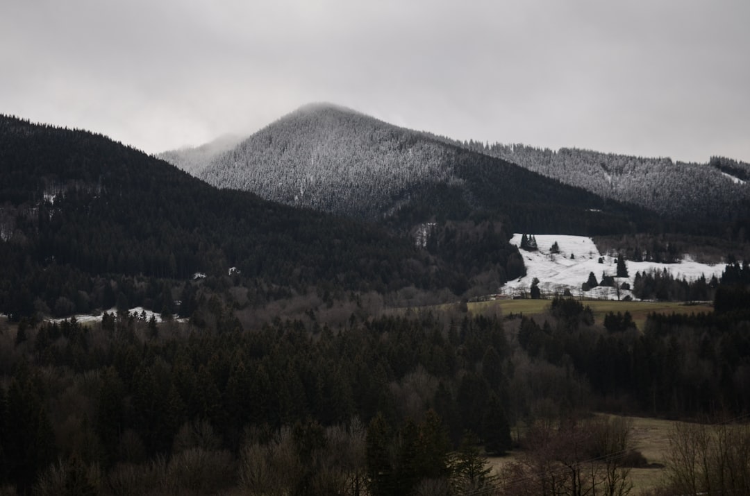 Paysage de Bohinj