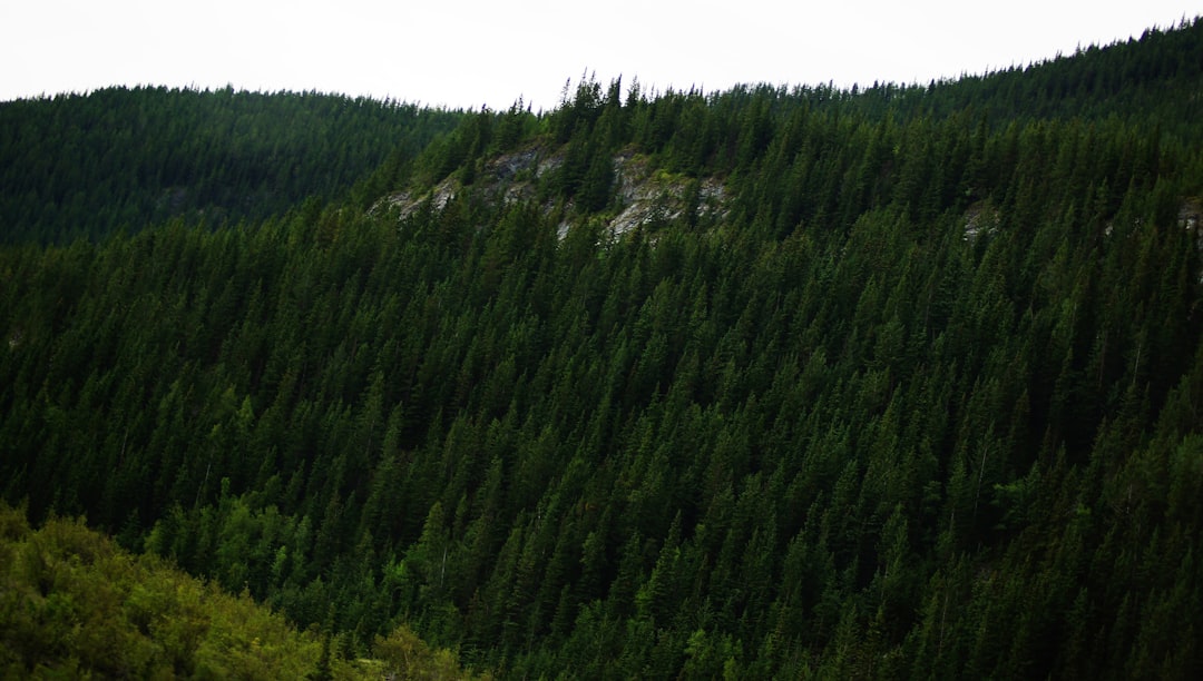 Vue de Buchholz in der Nordheide