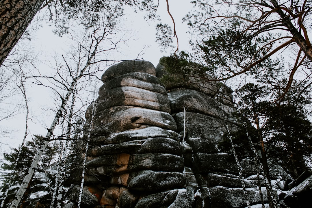 Paysage de Buchholz in der Nordheide