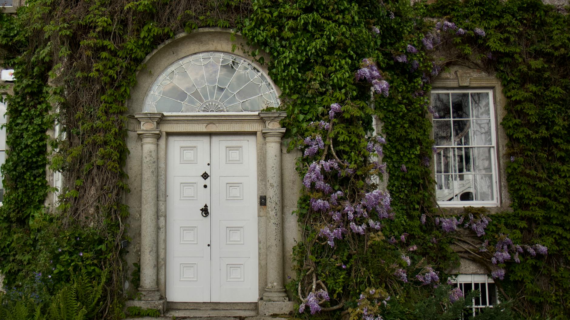 Paysage de Carlow