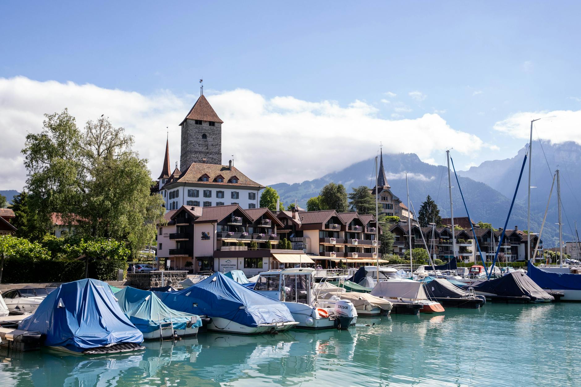 Paysage de Carouge