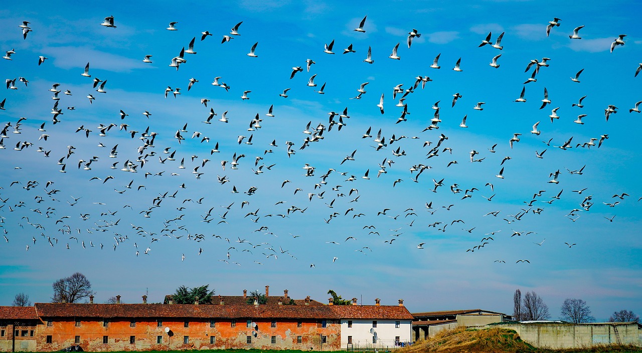 Paysage de Cascina