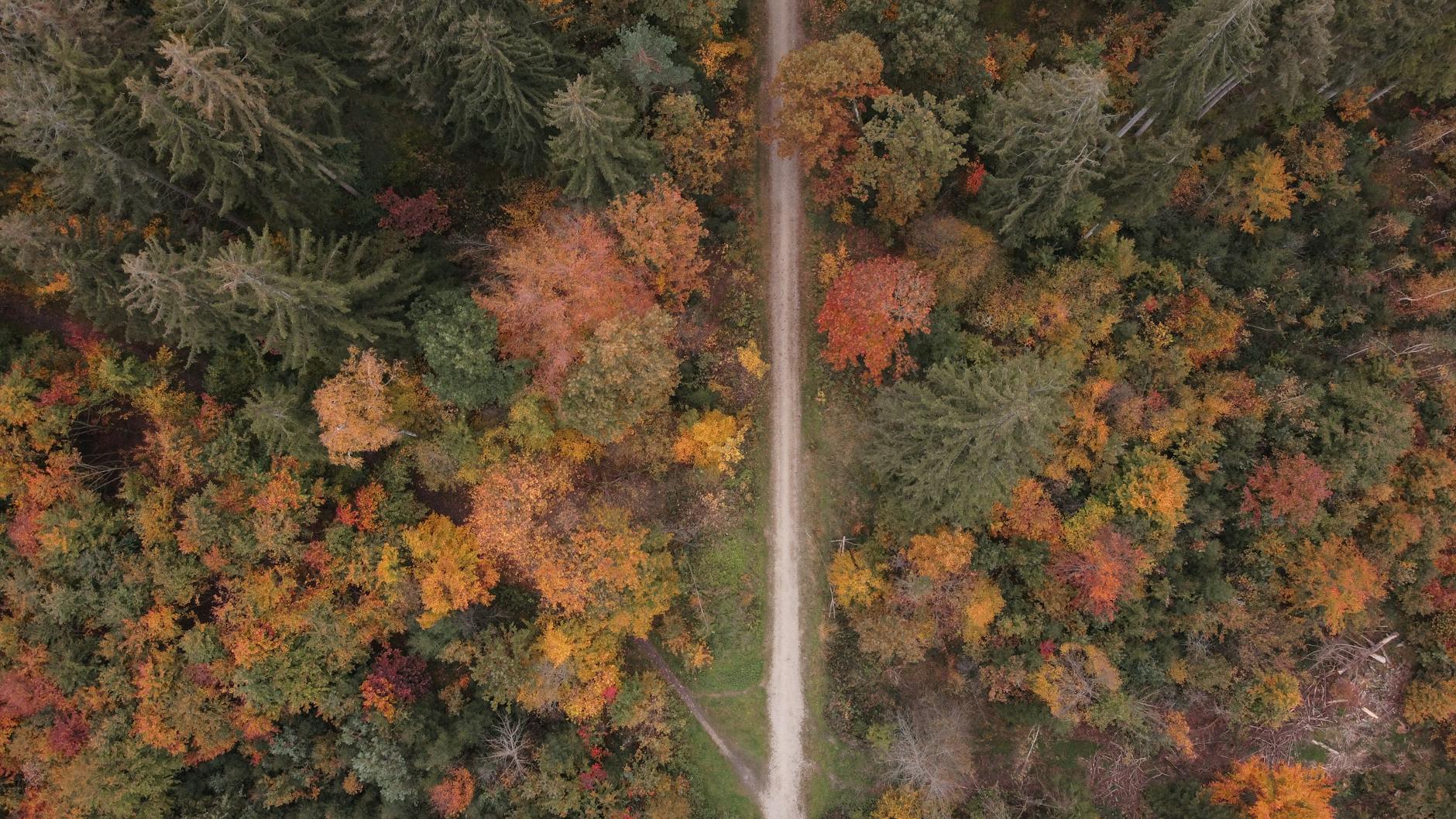 Vue de Dachau