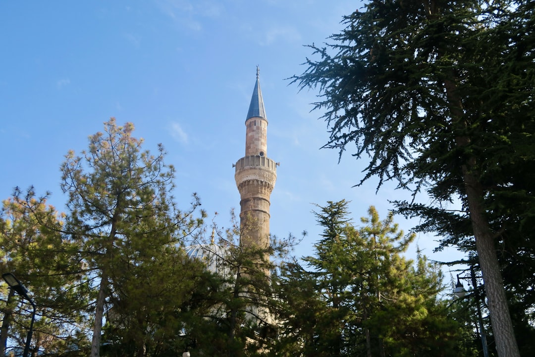 Paysage de Doğanşehir
