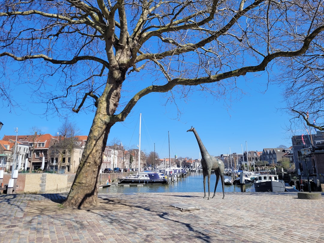 Paysage de Dordrecht
