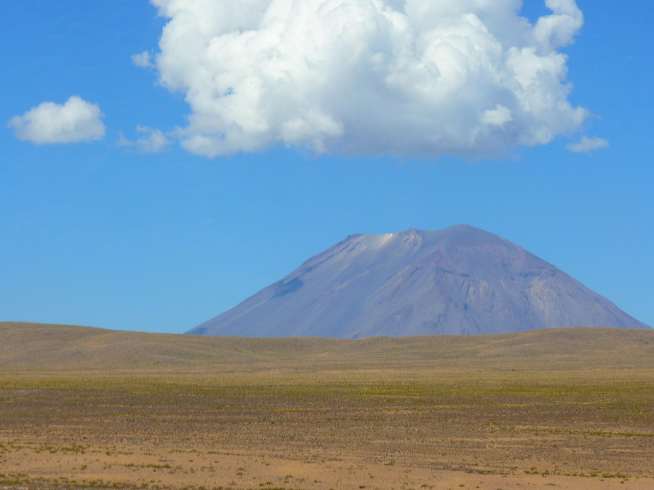 Paysage de El Coronil