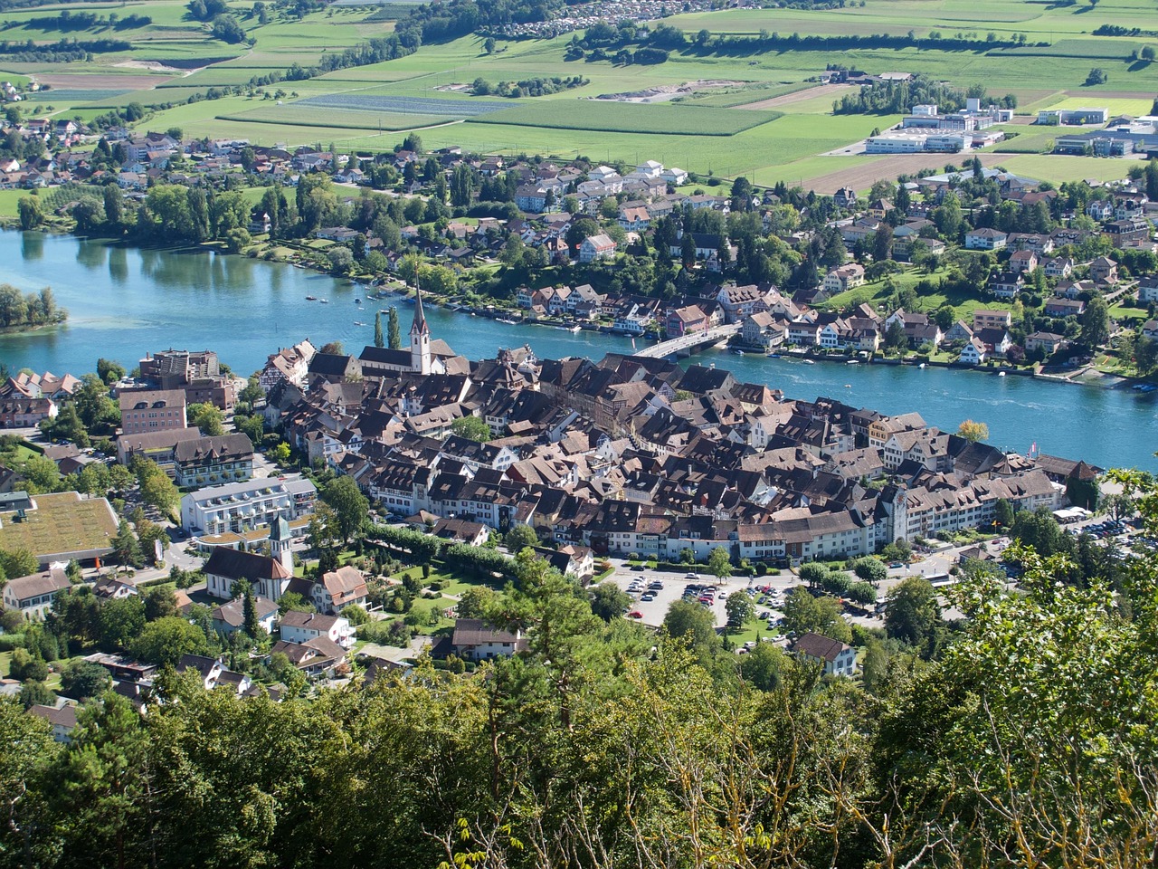 Paysage de Eltville am Rhein