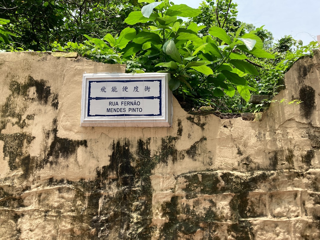 Paysage de Freguesia de Macao Zone Péninsulaire Nord