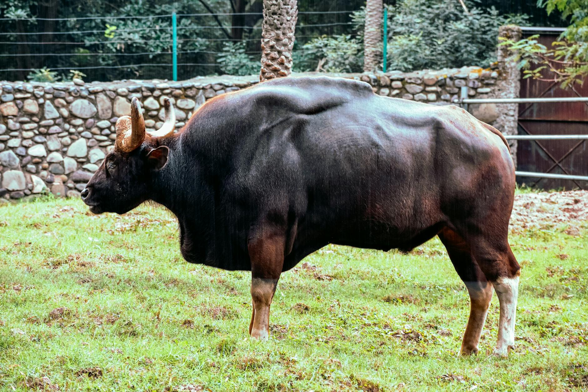 Paysage de Gaur