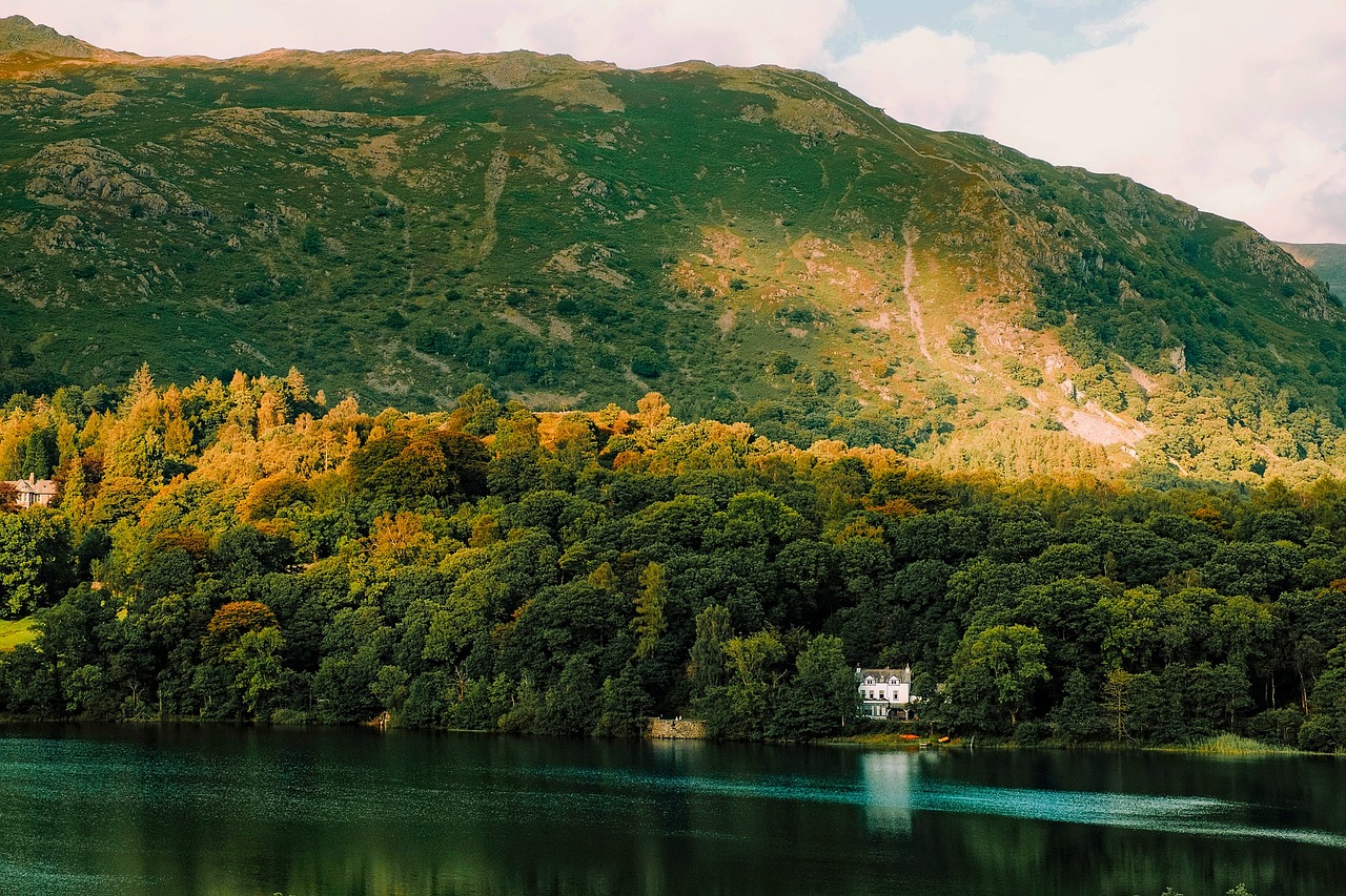 Vue de Grasmere