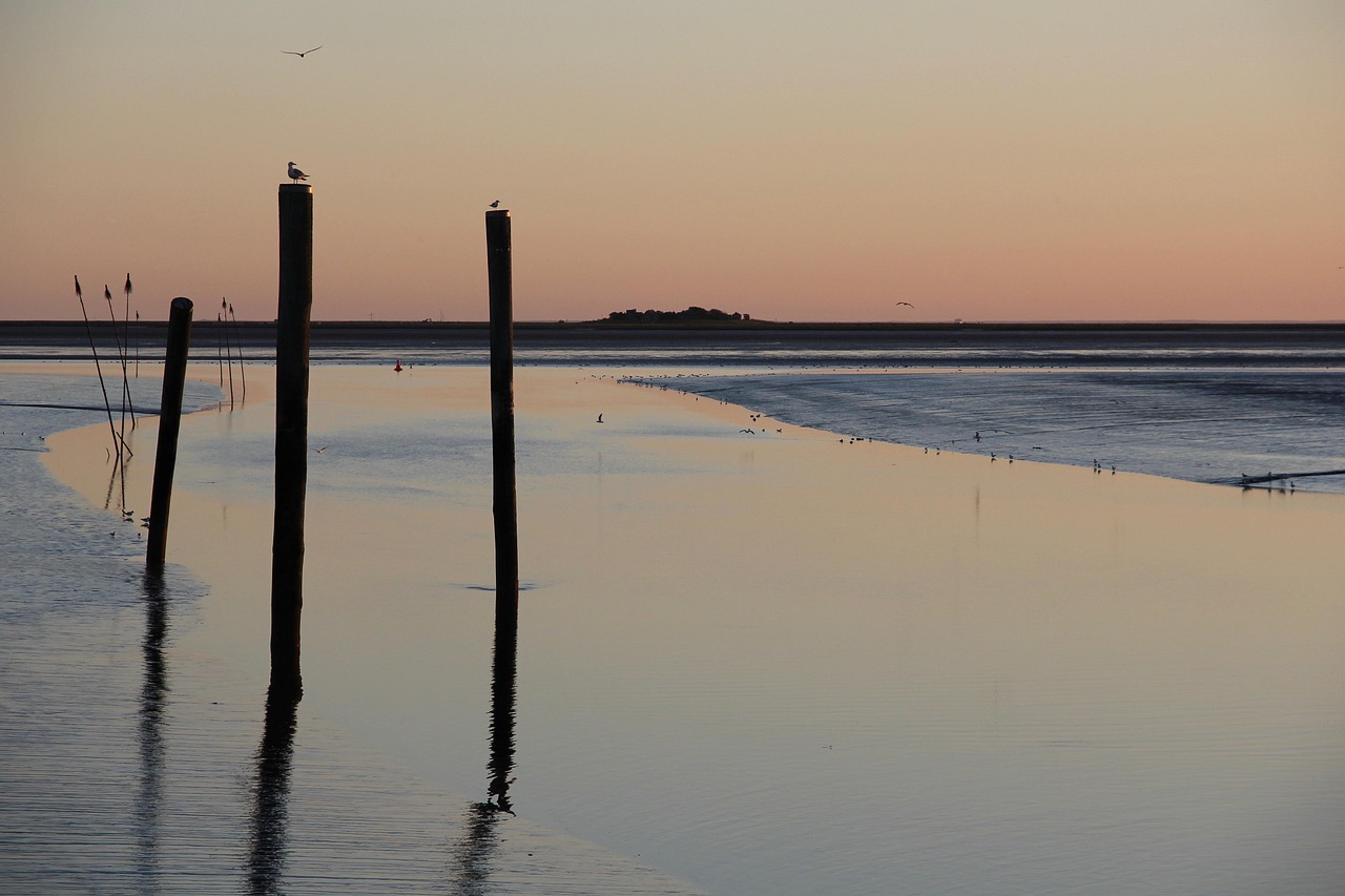 Paysage de Husum