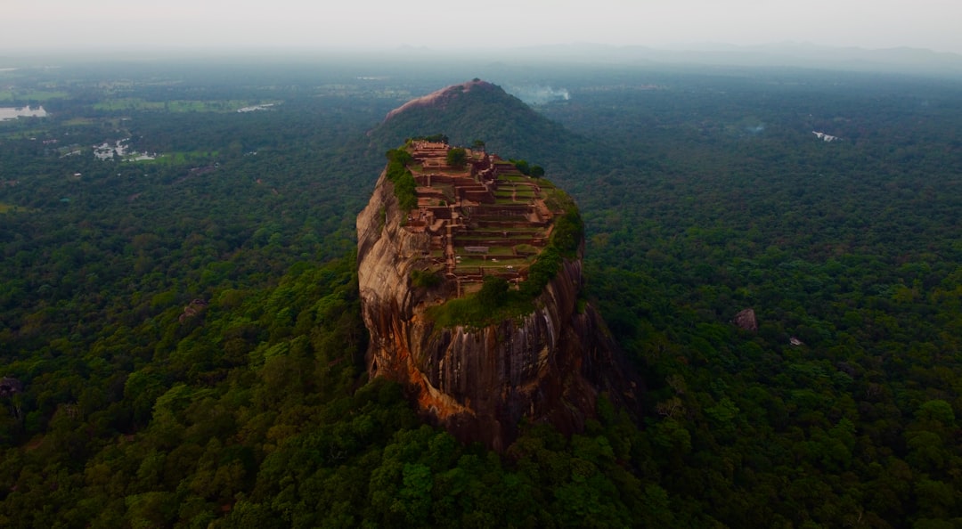 Paysage de Iluppaikadavai