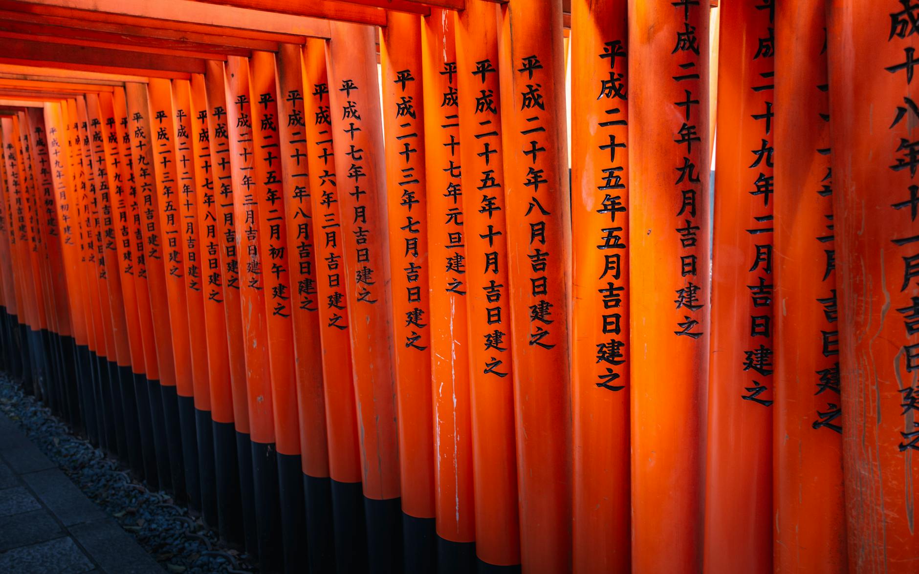 Paysage de Inari