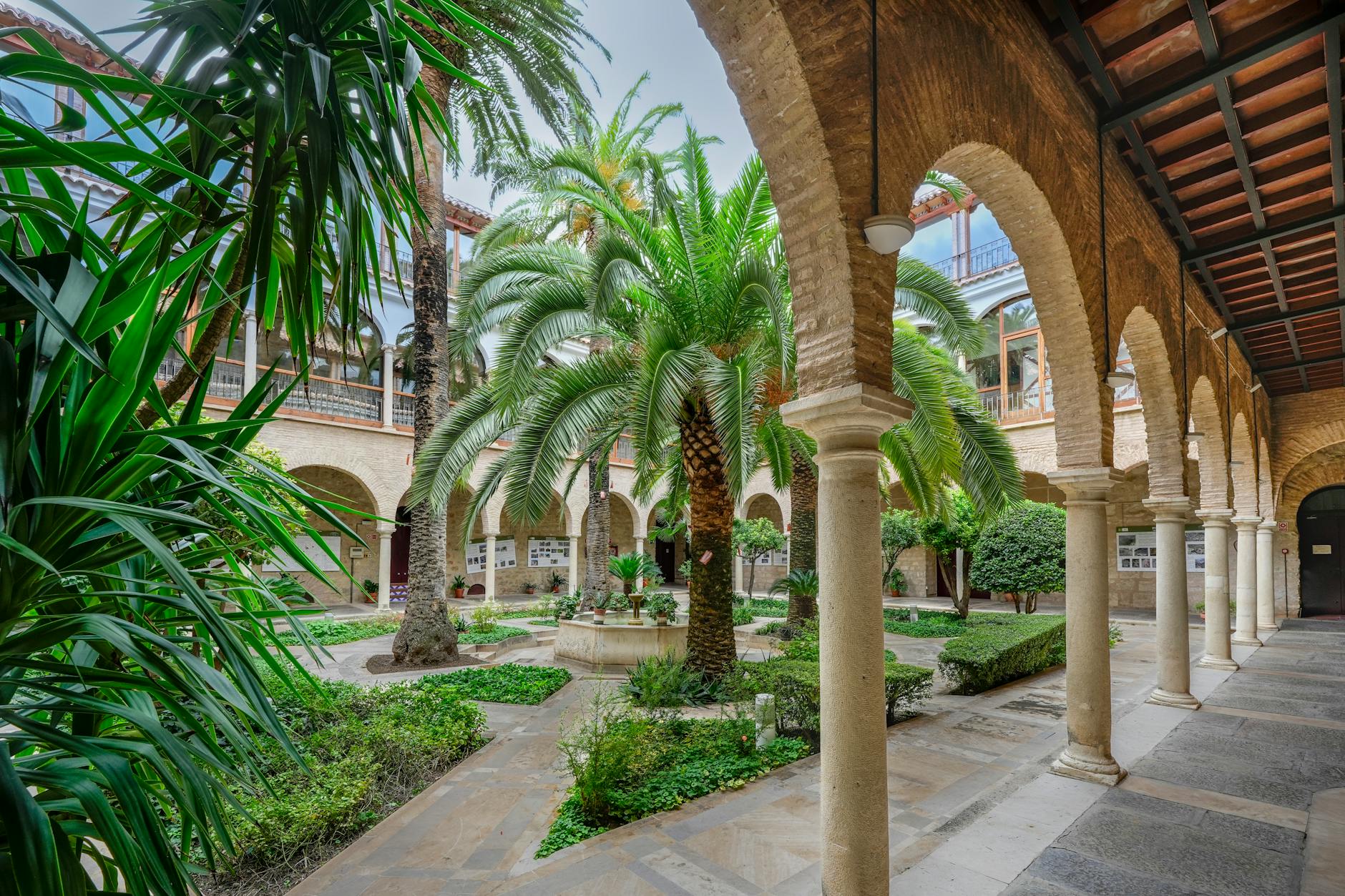 Paysage de Jaén