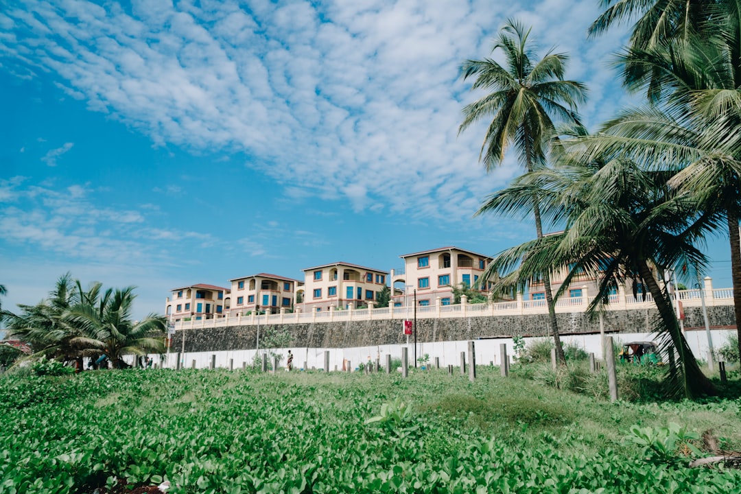 Paysage de Kambia Artistic Area