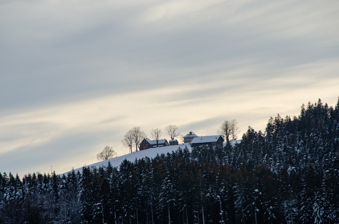 Paysage de Karlshus