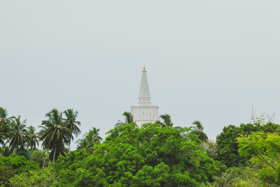 Paysage de Kebithigollewa