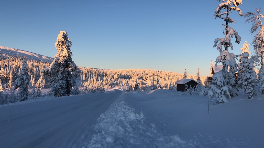 Paysage de Kihniö