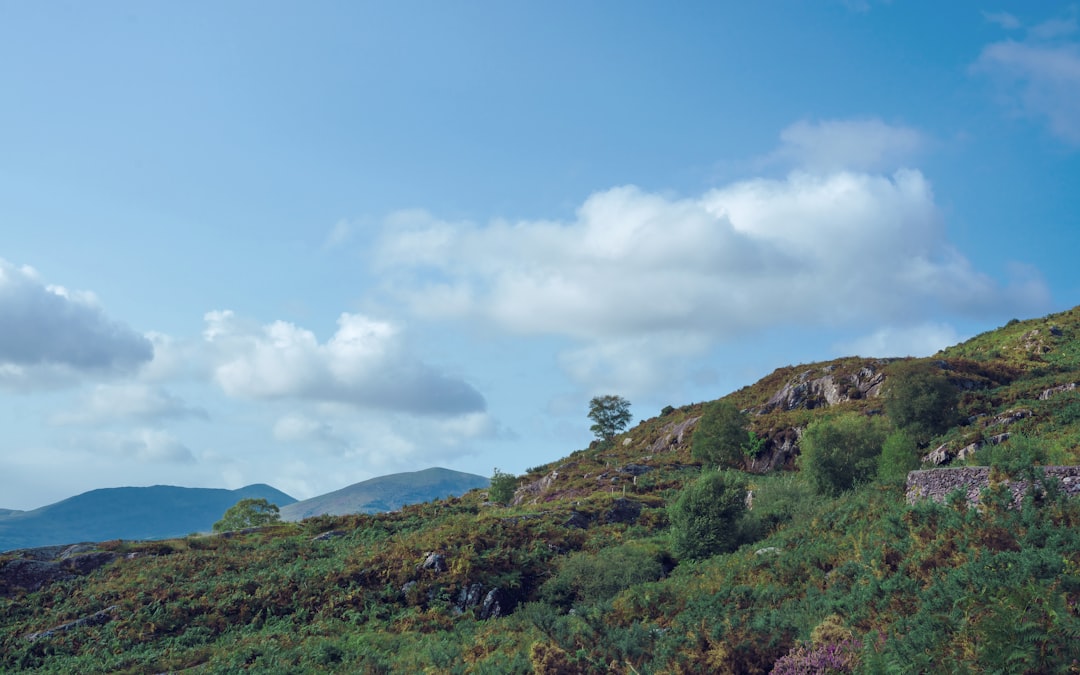 Vue de Killarney