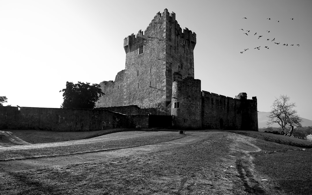 Paysage de Killarney