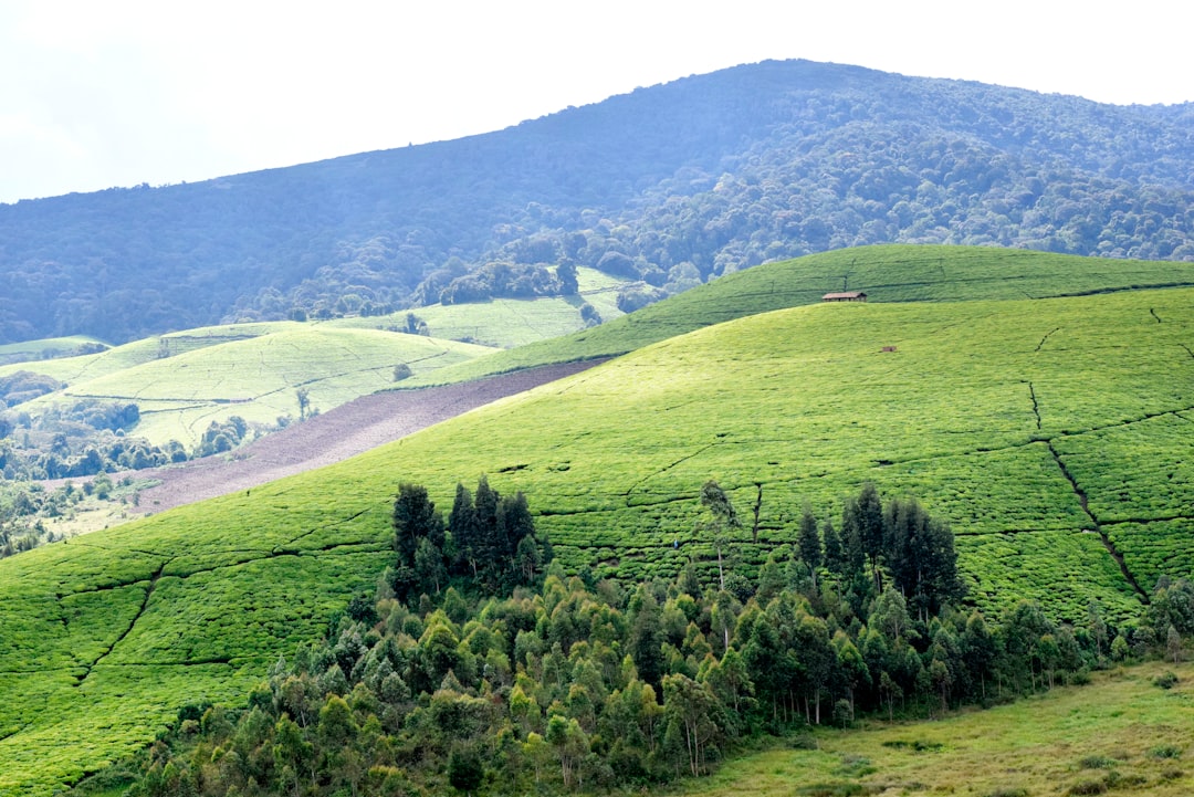 Paysage de Kivoga
