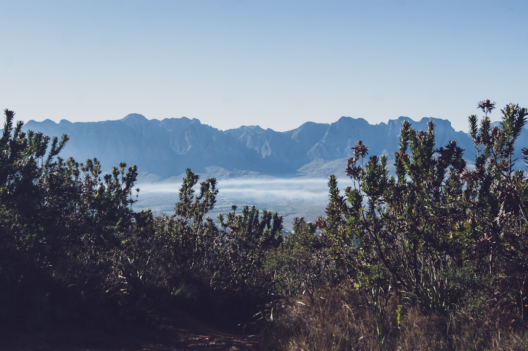 Paysage de Klerksdorp (déjà listé)