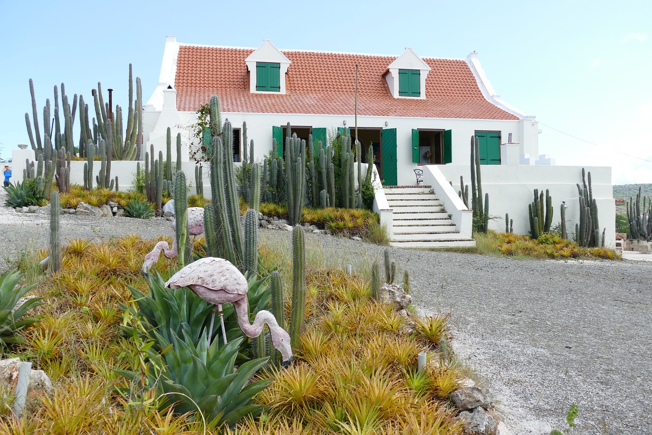 Paysage de Korsou