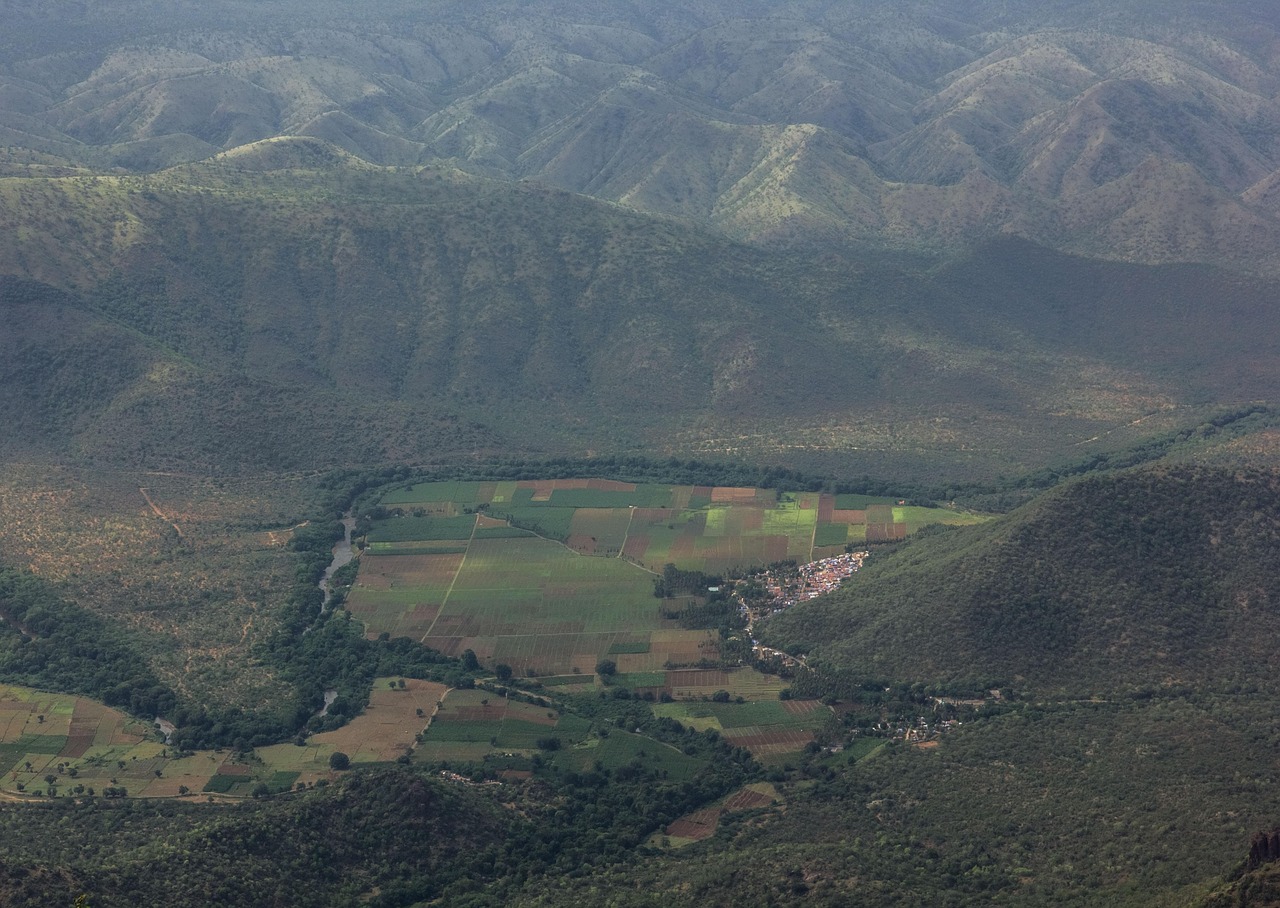 Paysage de Kotagiri